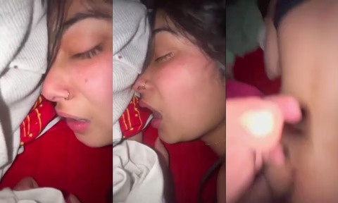 GF Paro Gets Her Pussy Fucked Hard In Hot Porn